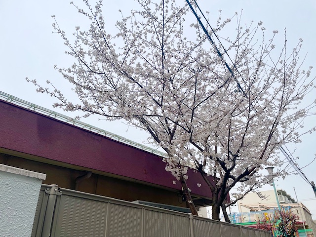  | サムネイル画像