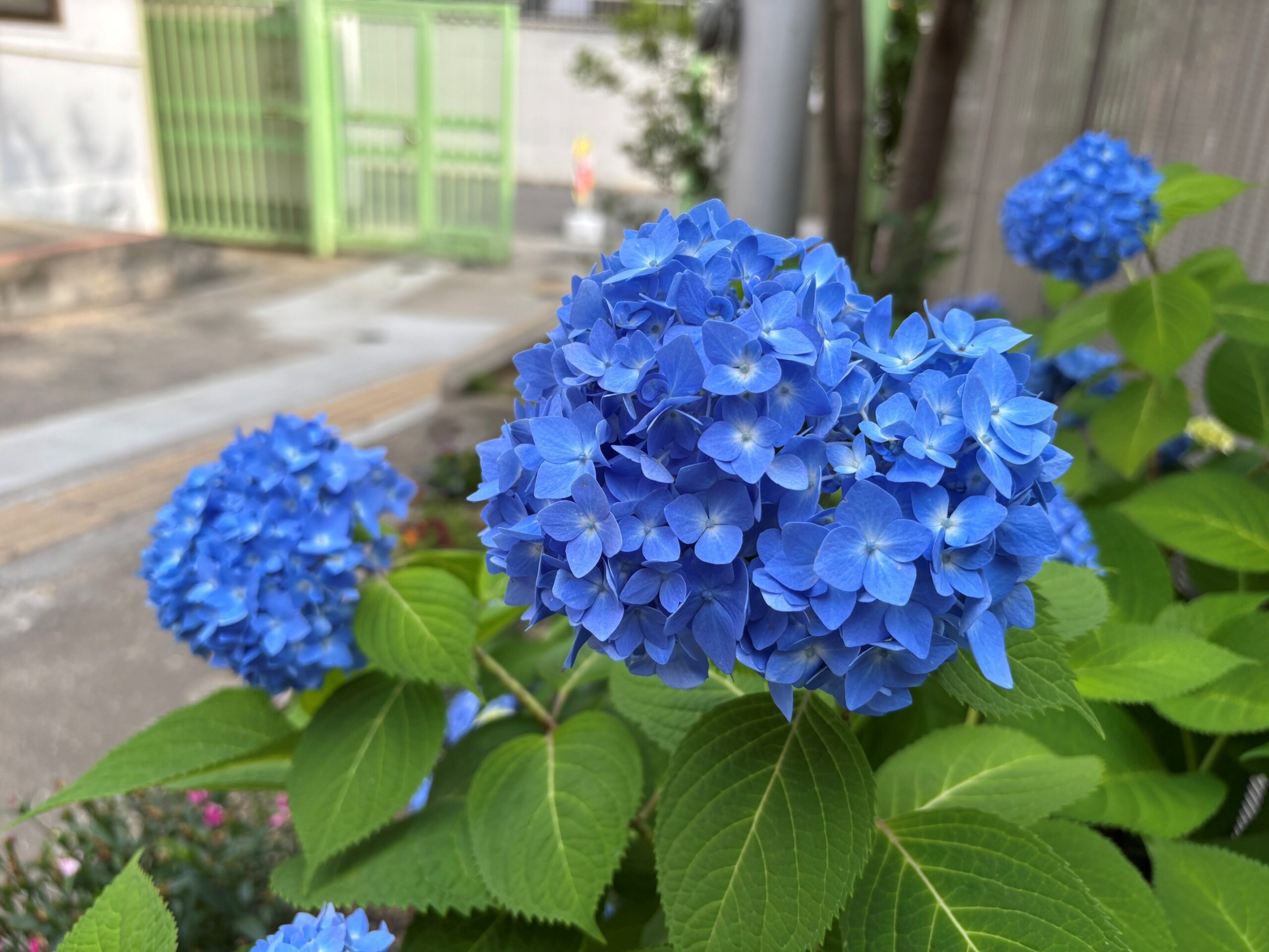  | サムネイル画像