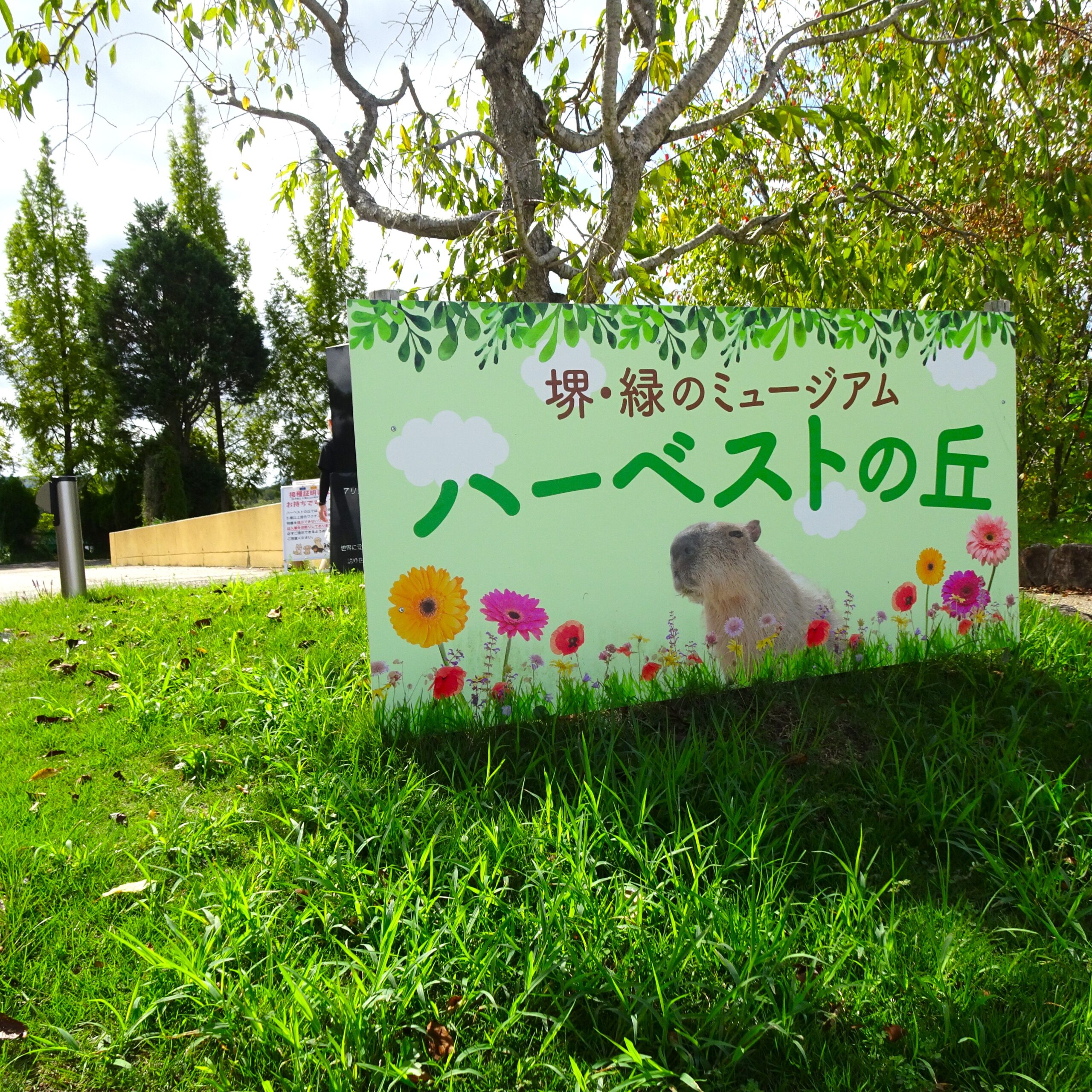  | サムネイル画像