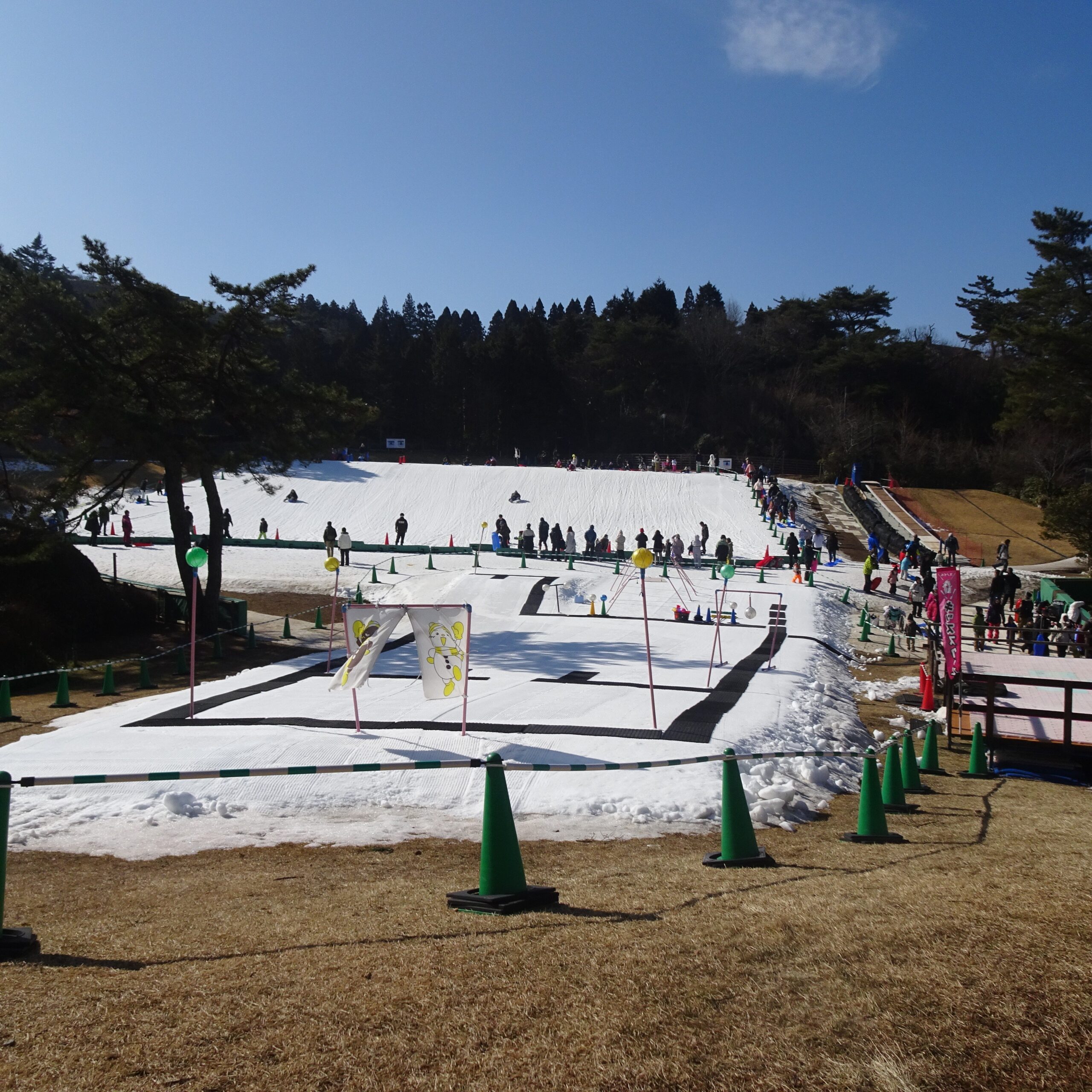  | サムネイル画像